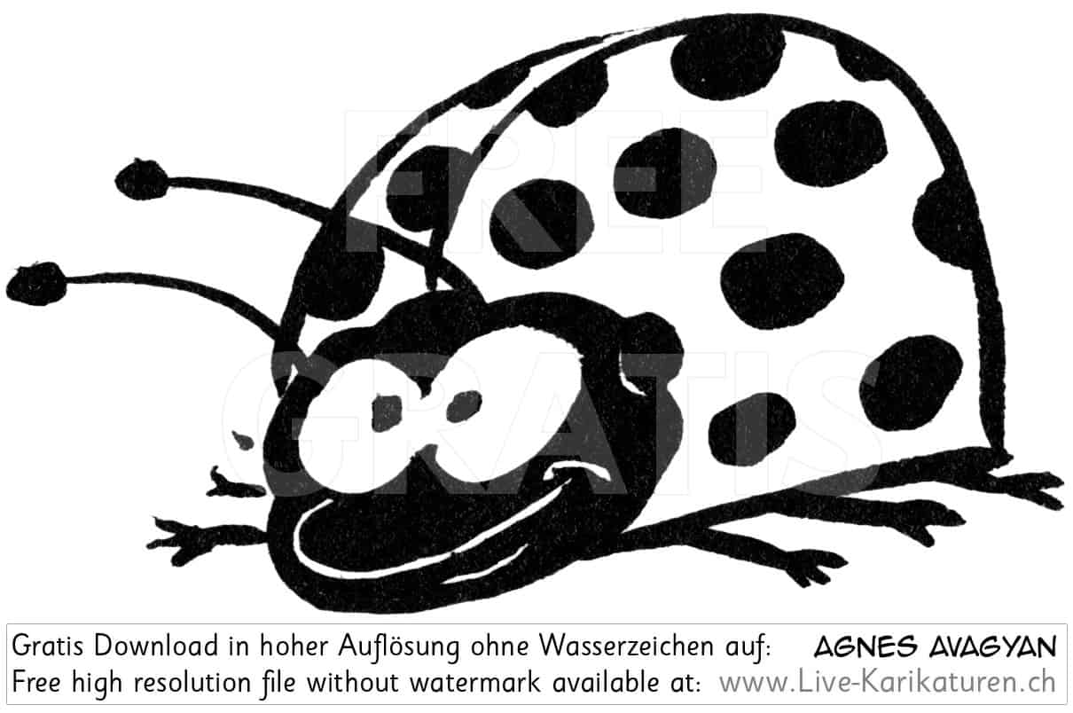 Kaefer Marienkaefer Fuehler bug Augen lustig Character Beine Insekt herzig Glueckskaefer schwarzweiss black and white Cartoon Comic Karikatur Clipart Zeichnung Bild Illustration image painting kostenlos Gratisbild free image, Watermark small