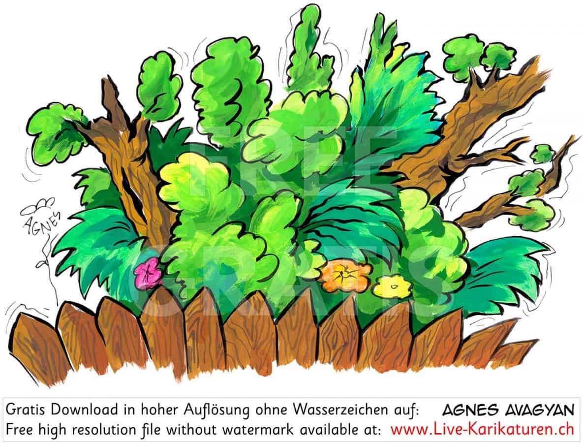 Pflanzen Garten wuchern Zaun — www.LiveKarikaturen.ch