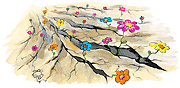 Oekologie Duerre Trockenheit Blumen Riss vertrockneter Boden kein Regen Hoffnung neues Leben Agnes Live-Karikaturen Karikaturistin Cartoon Comic Karikatur Clipart Zeichnung handgezeichnet gemalt Bild Illustration image painting Download kostenlos Gratisbild free image