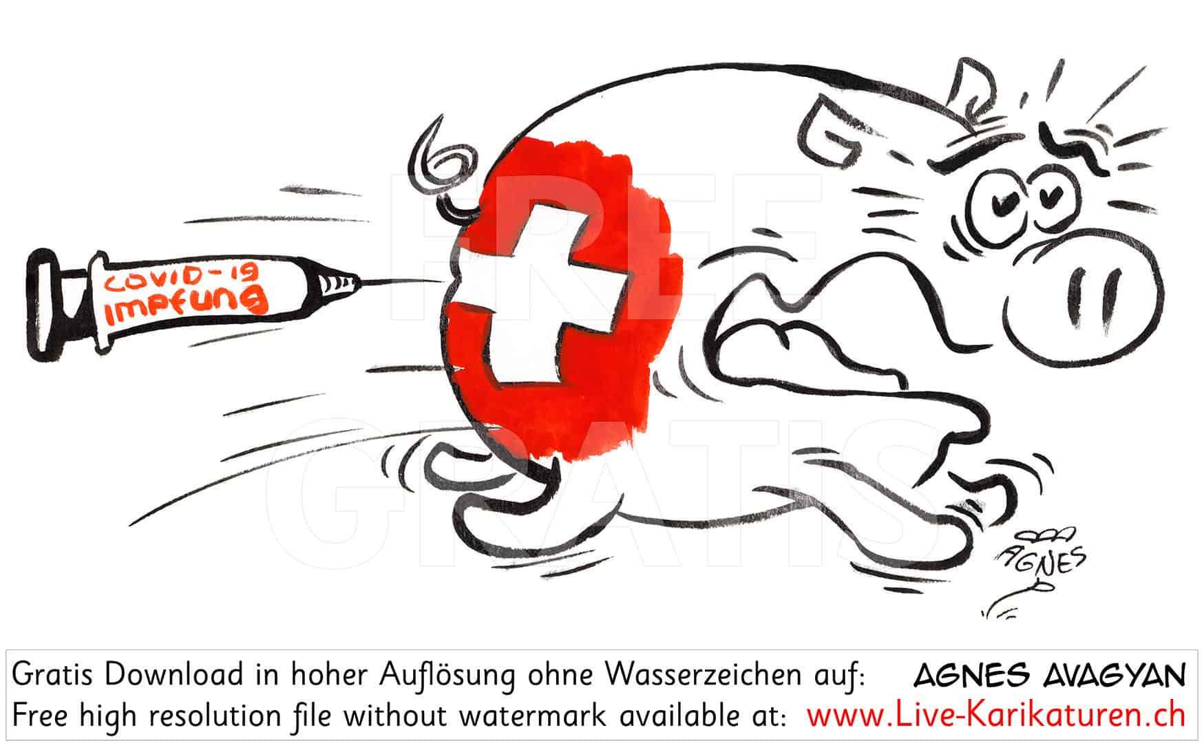 Schwein, Schweizer Flagge, Schweizer Kreuz, Po, piecksen, Schreck, Flucht, lustig, Corona, Covid 19, Spritze, Impfung, Virus, Agnes Live-Karikaturen, Clipart, Illustration, Cartoon, Comic, Karikatur, Zeichnung, Download, kostenlos, Gratisbild, Kunst, Kuenstler, Comiczeichner