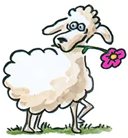 Schaf blume schnellzeichnerin agnes avagyan karikaturen